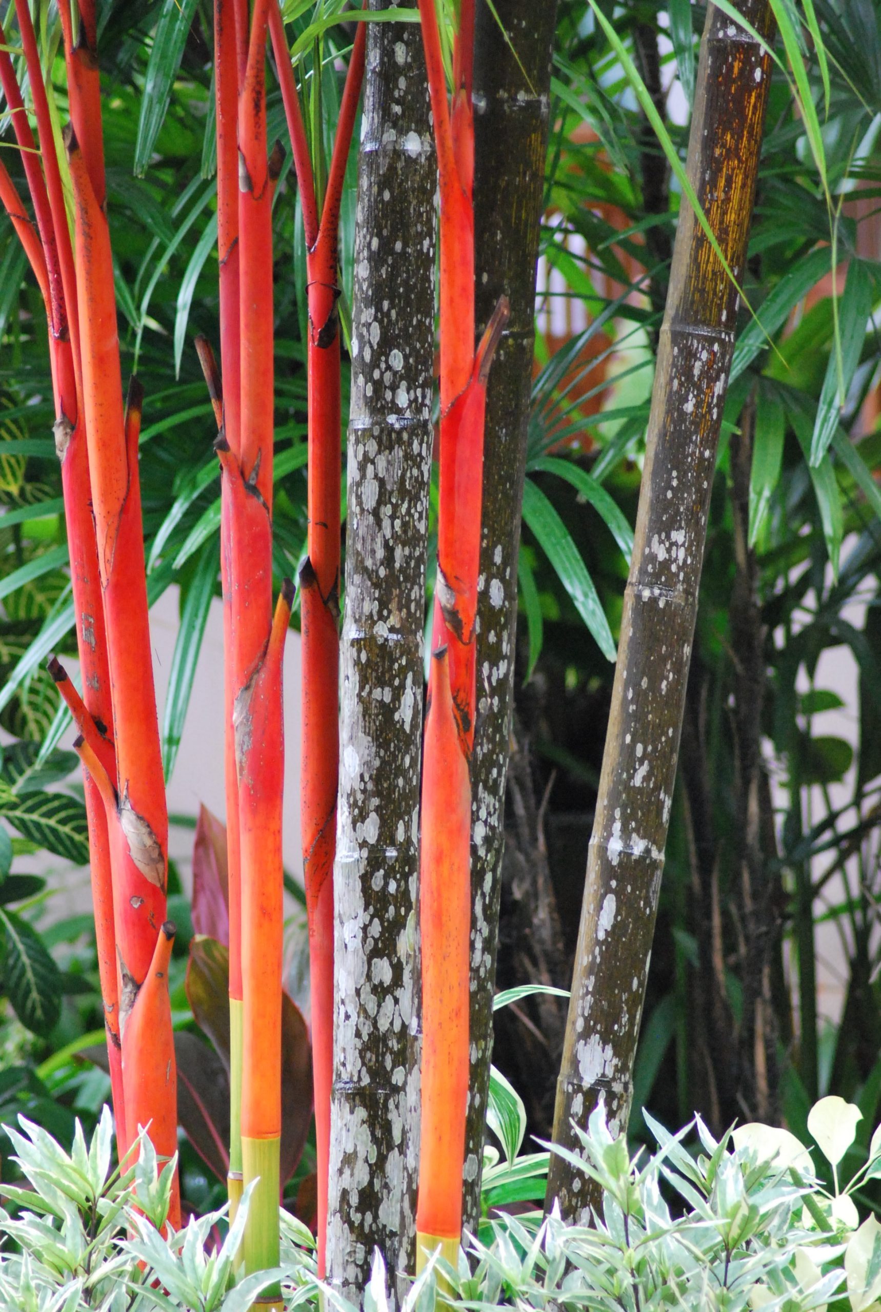 Sawatdi Thai Massage à Blagnag - Photo 1477 scaled